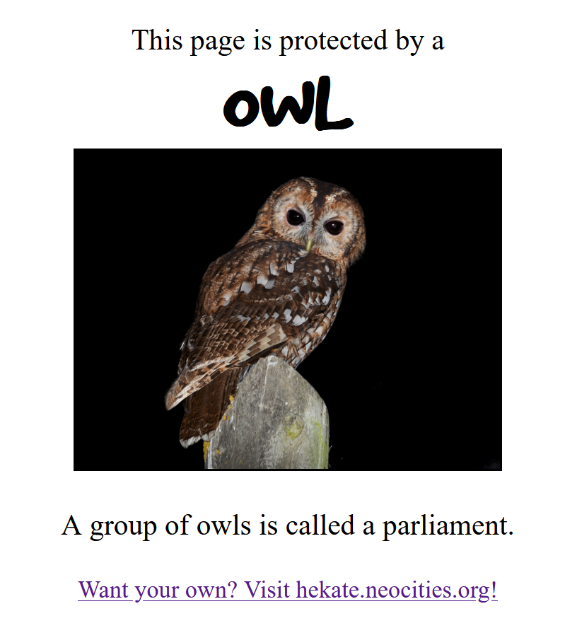 Owl